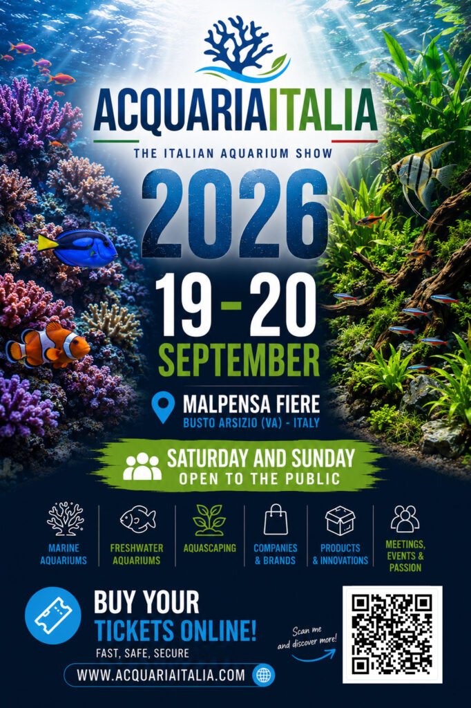 acquariaitalia flyer