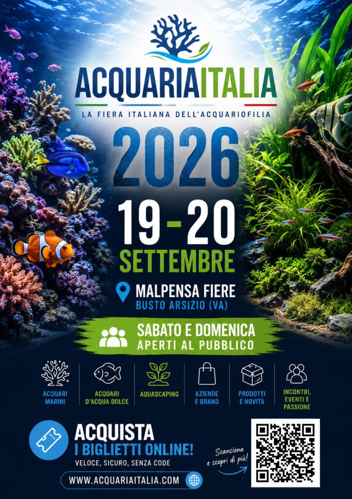Locandina AcquariaItalia